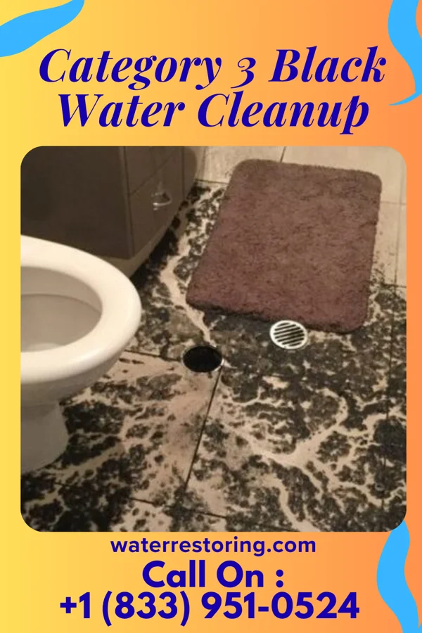 Category 3 Black Water Cleanup in Charleston, MO
