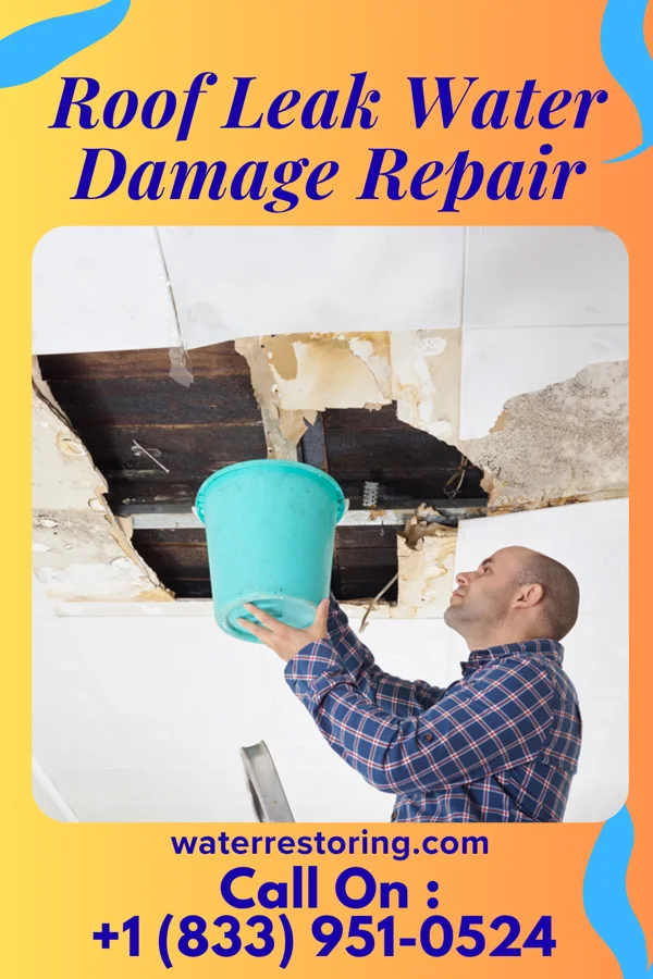 Roof Leak Water Damage Repair in Charleston, MO