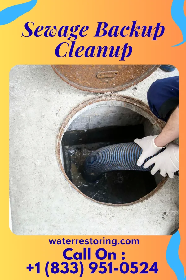 Sewage Backup Cleanup in Charleston, MO
